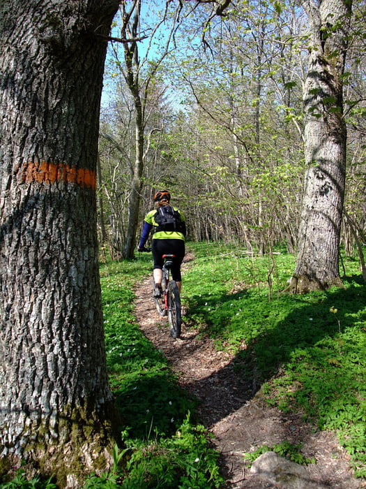 MTB to Bjärka-Säby
