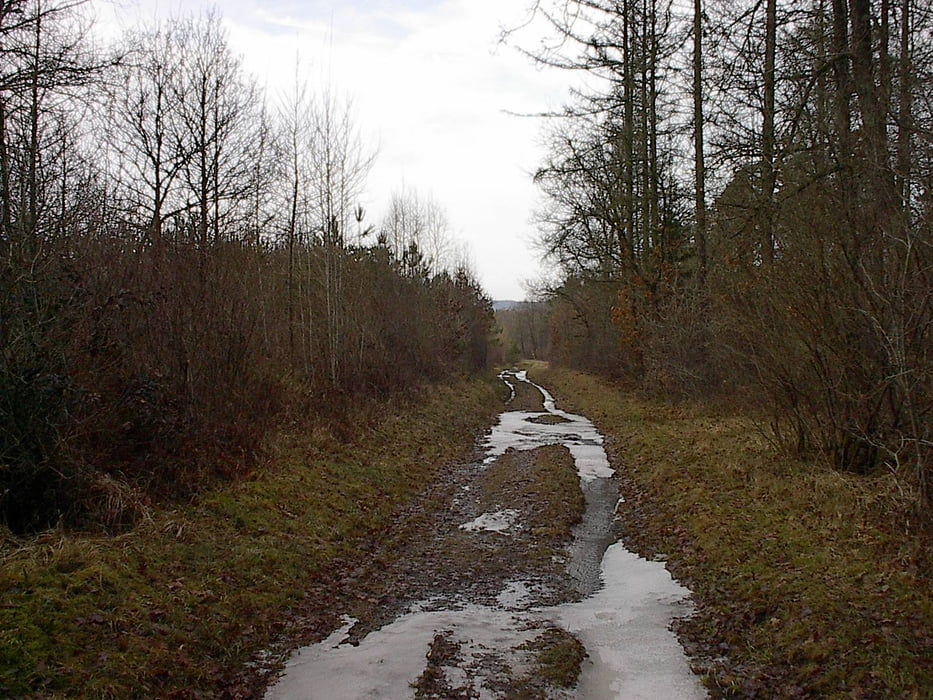 Het bos van Grandhan