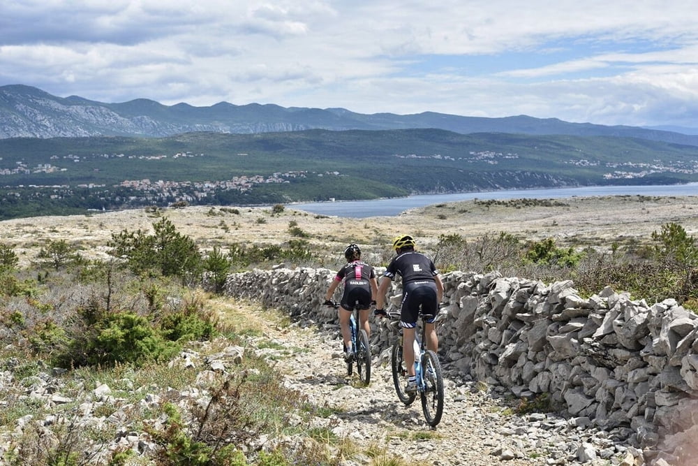 MTB NJIVICE no.1