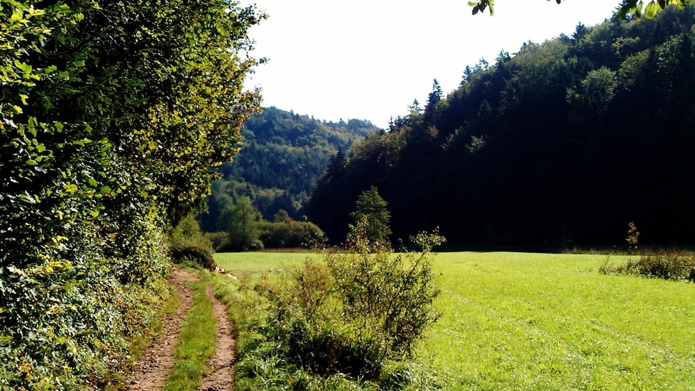 Wandern Franken: im Aufseßtal-Spaziergang ohne Verkehr
