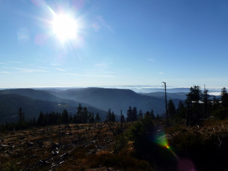 Wanderung über die Hornisgrinde