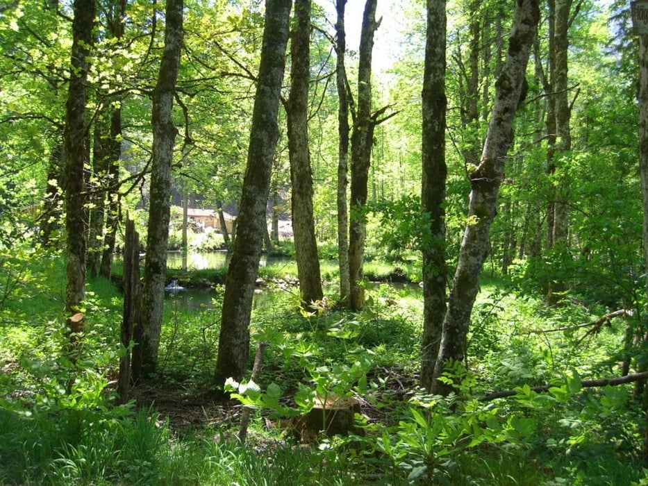 Gmund Tegernsee Söllbachtal - Familientour