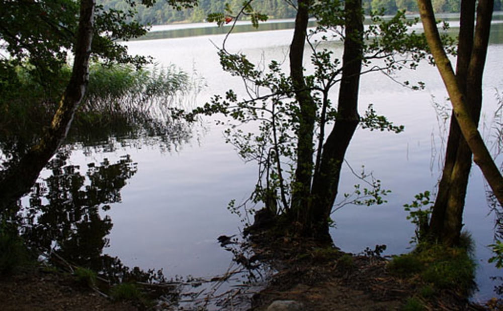 Barsbüttel Rund Grossensee