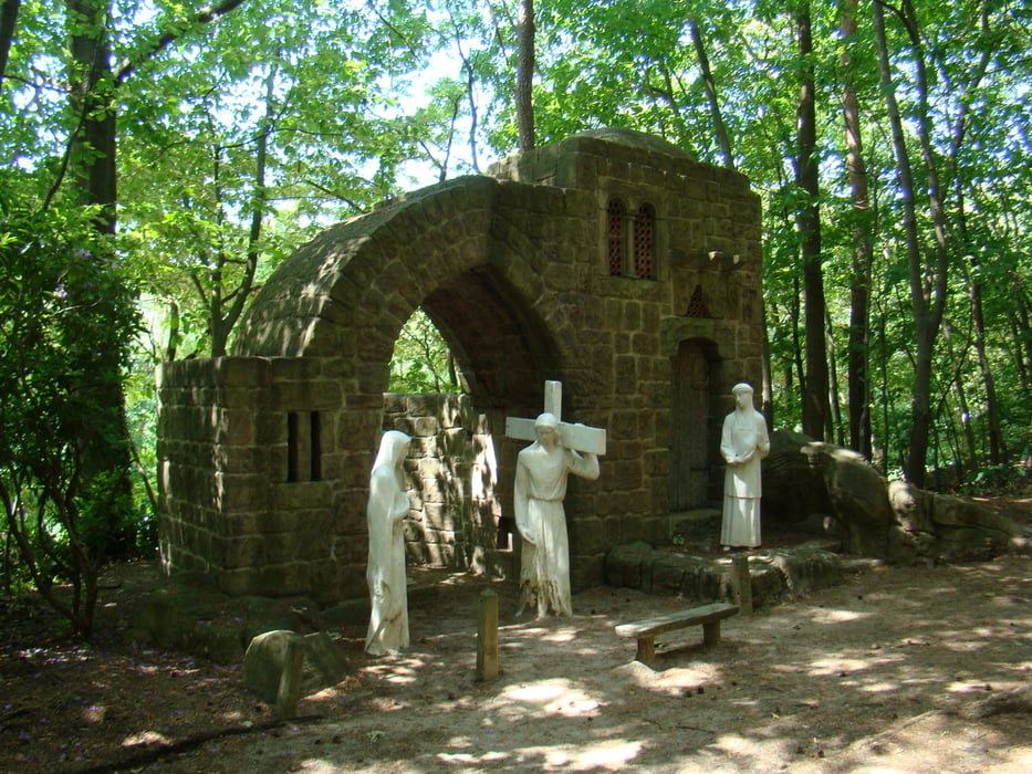 Averbode bos