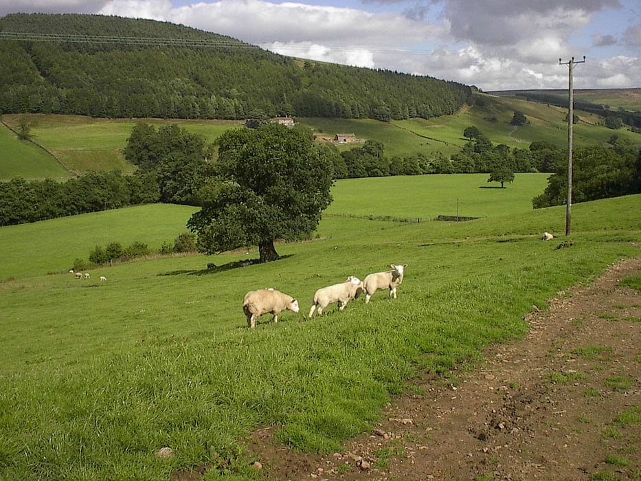 Door het Nidderdale