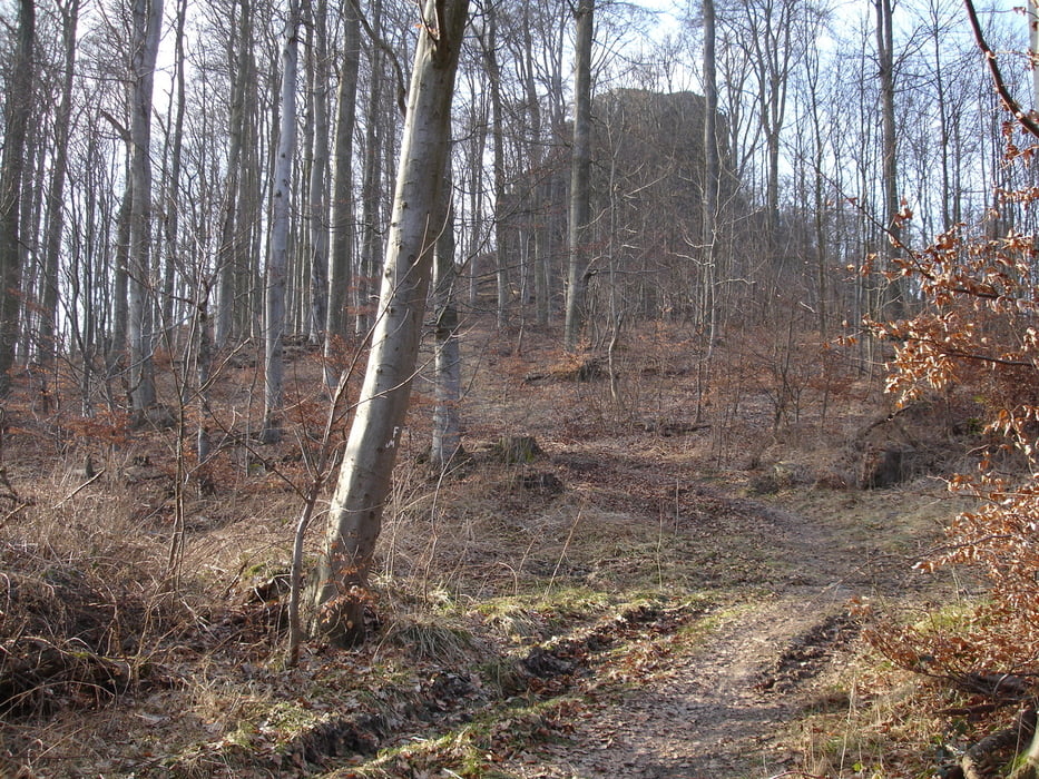 Wintertour zum Dörnberg