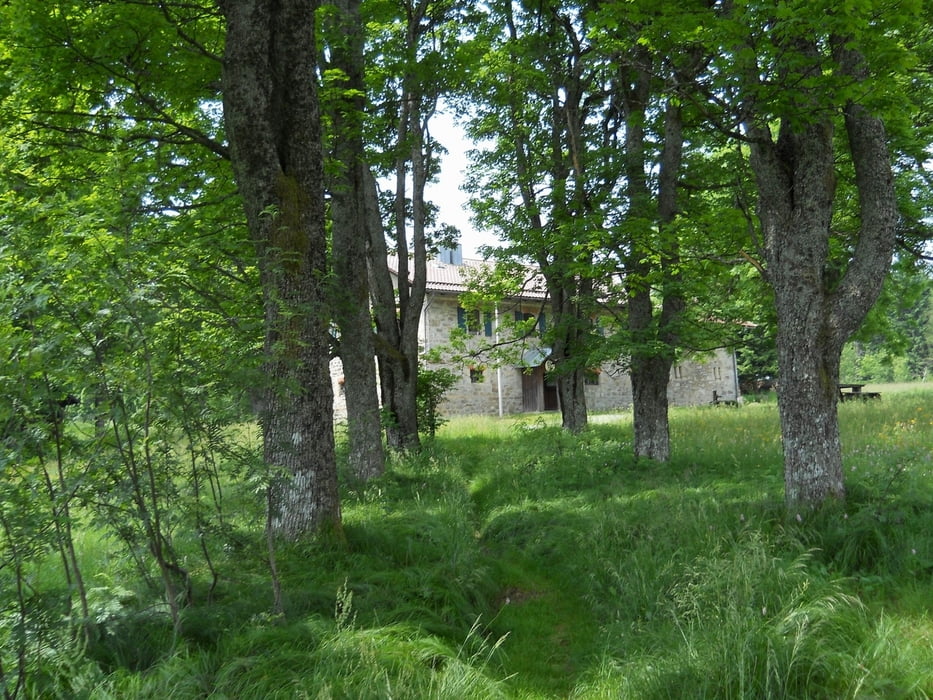 Kalteck-Mühlgraben-Engelmar