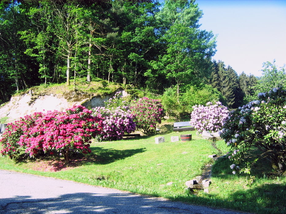 Baiersbronn Forbach Schwarzenbach Talsperre Hornisgrinde und zurück