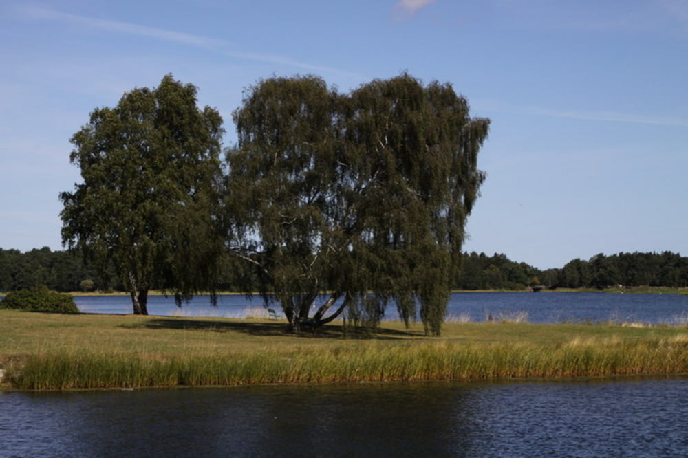 Södeakra-Bergkvara-Torsas-Södeakra