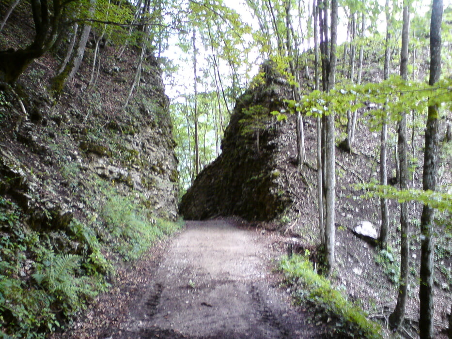 Tour durch die Schlucht