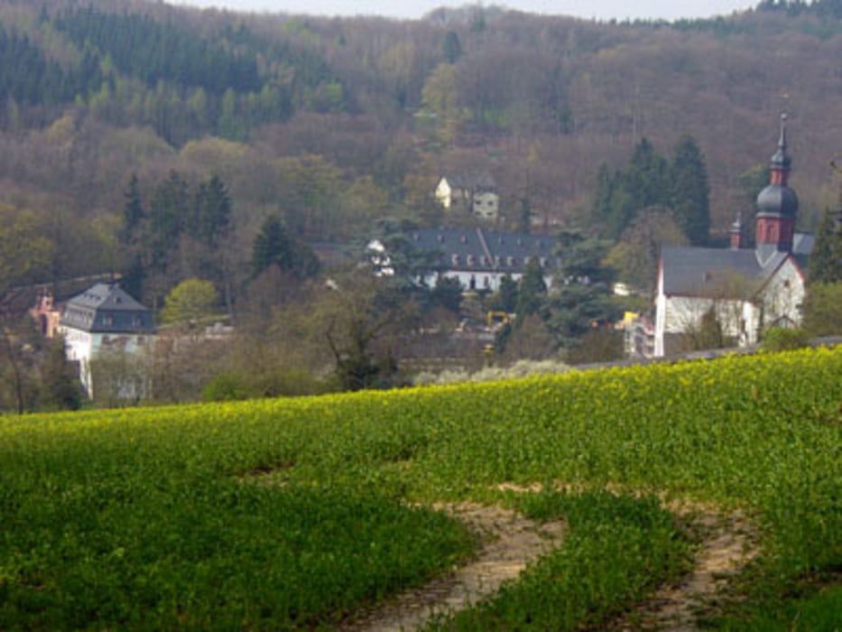 Das Faß der Zisterzienser