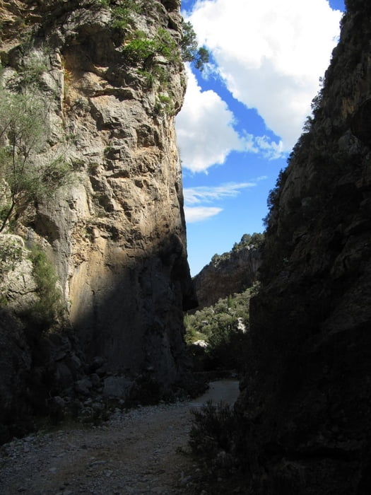 Von Alcudia auf den Puig de Massanella