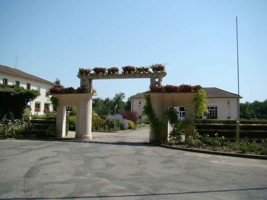 de bossen van les Islettes