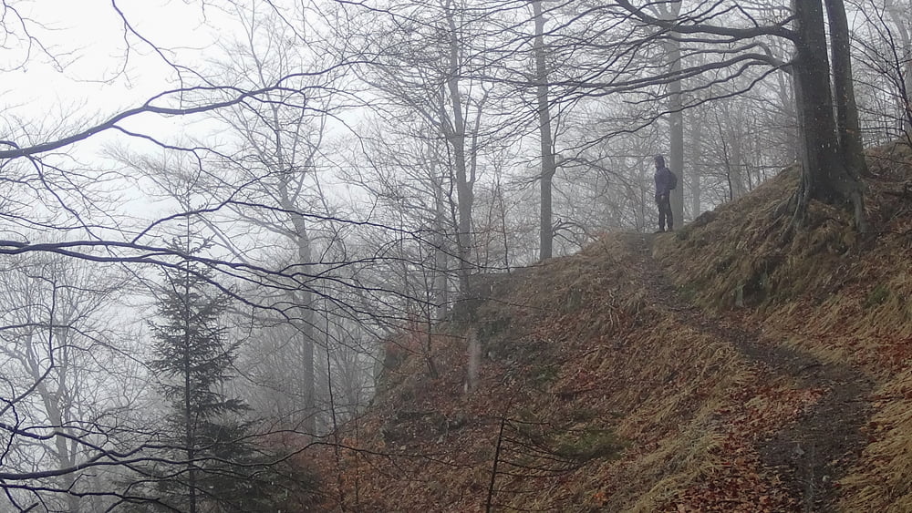Waligóra