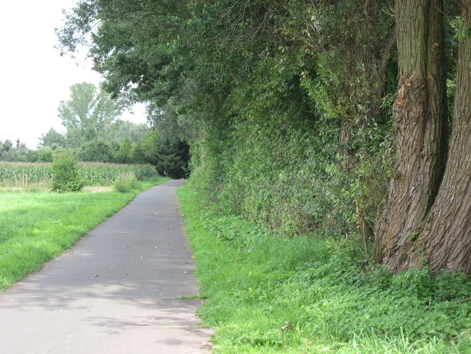 Caching Tour Münster/Dieburg