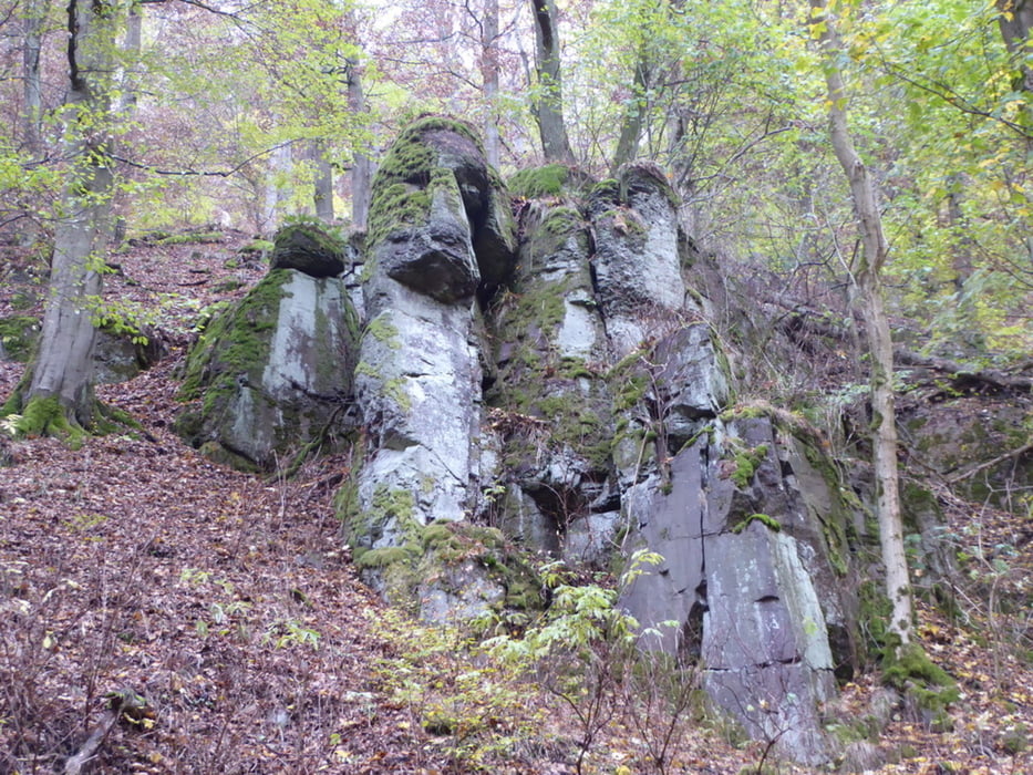 Vom Braunsteinhaus zum Steinmühlental