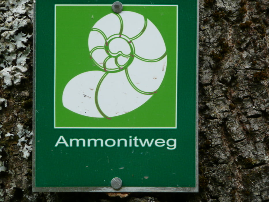 Ammonitweg Hemmersdorf