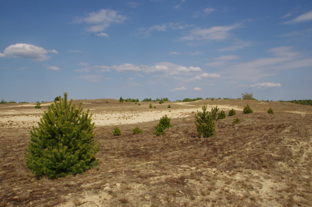 Zur Wanderdüne