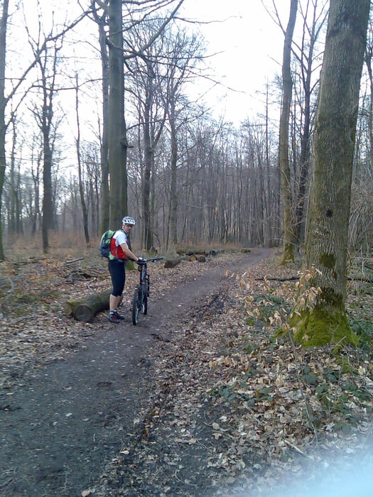Trainingsrunde 21.04.2010