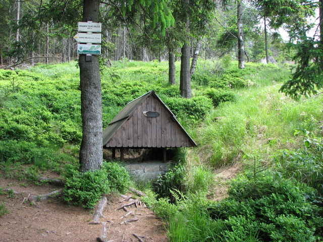 Orlice3