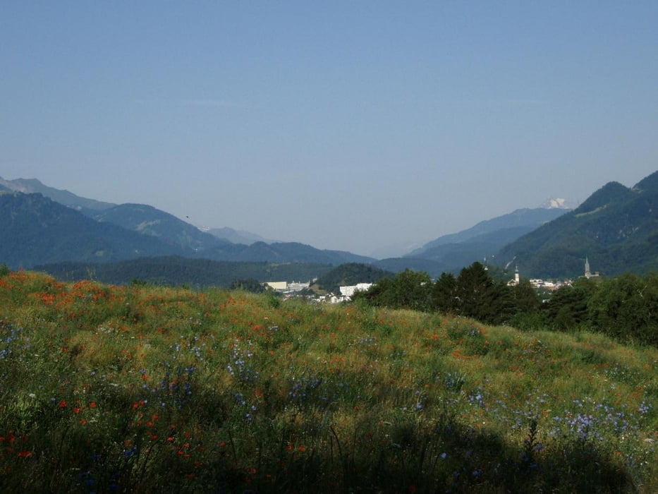 Umrundung Stätzerhorn (ab Domat)/Fops, 1886 m.ü.M