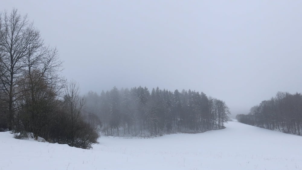 Wandern Franken: Gräfenberg/ Neusles- einsame Schneeschuhwanderung