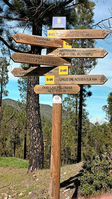 Gran Canaria: Von Artenara ins Tamadaba Gebiet