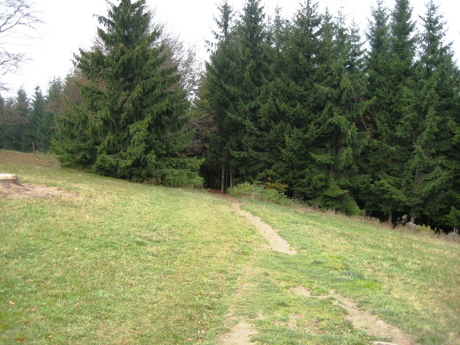 Dorngraben - Grünburgerhütte - Wanderweg - Dorngraben