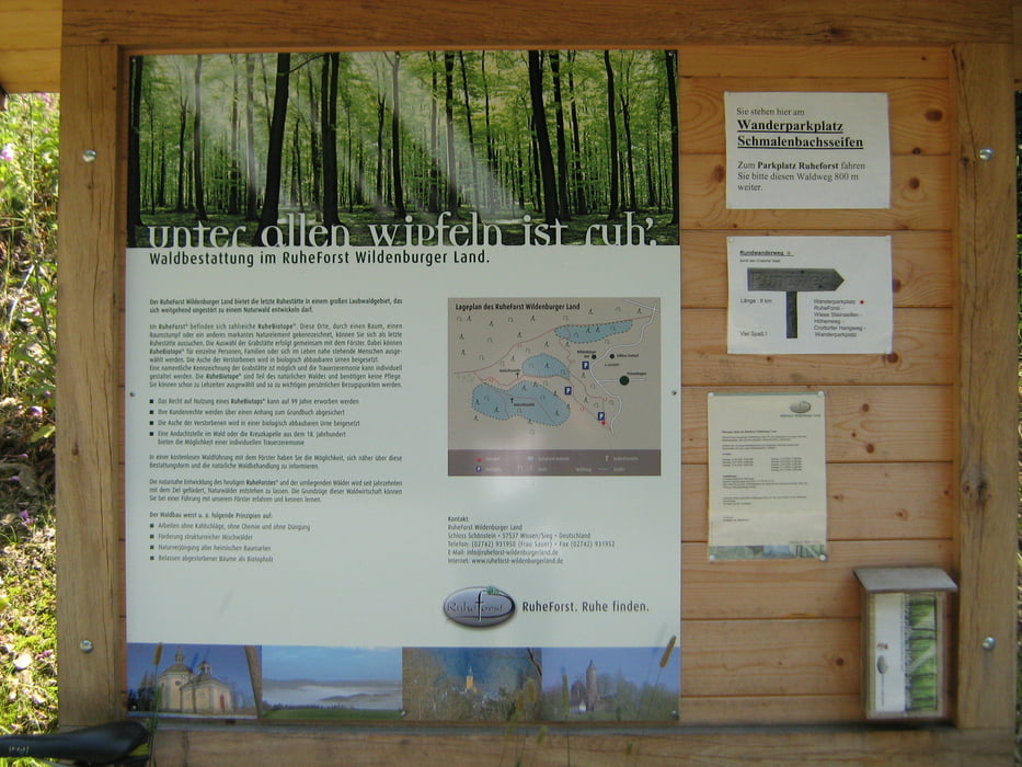 Tour zum Ruhe Forst Wildenburger Land