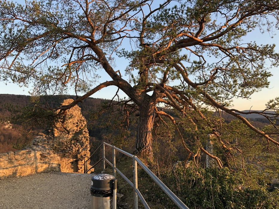 von Aesch auf Burgruine Dornach retour 