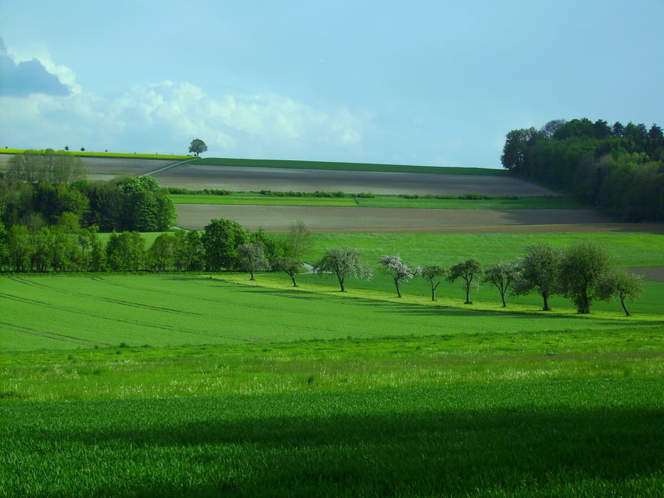 Steinberg Iller Ermingen