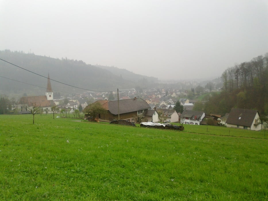 Heiligenzell Rund (Fuchweg 24.4 km)