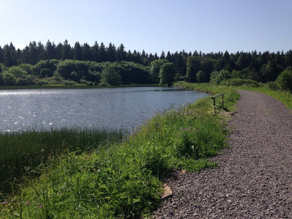 Hoherodskopf - Niddastausee - Mammutbäume