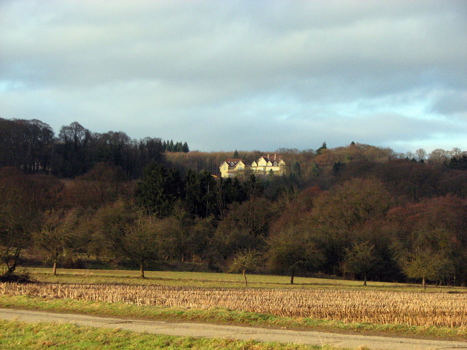Monrepos-Runde mit Brombeerschenke