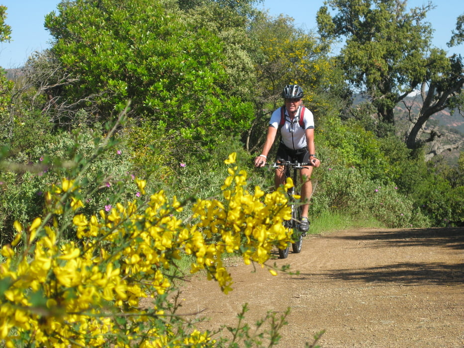 Esterel - Abendrunde mit Trails