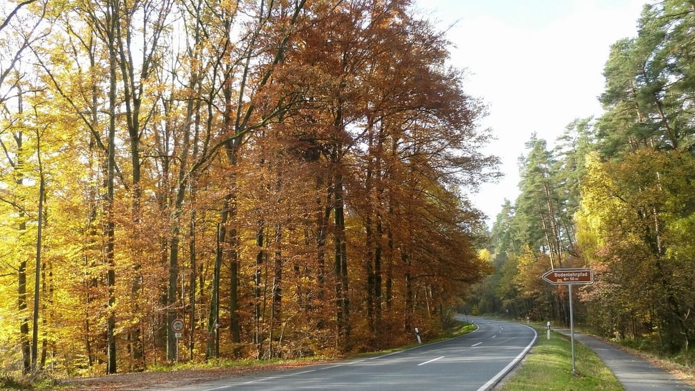 Wandern Franken: Herbstwanderung Kalchreuth-Nürnberger Land