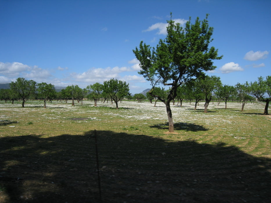 Mallorca Tag 1: Flaches Land