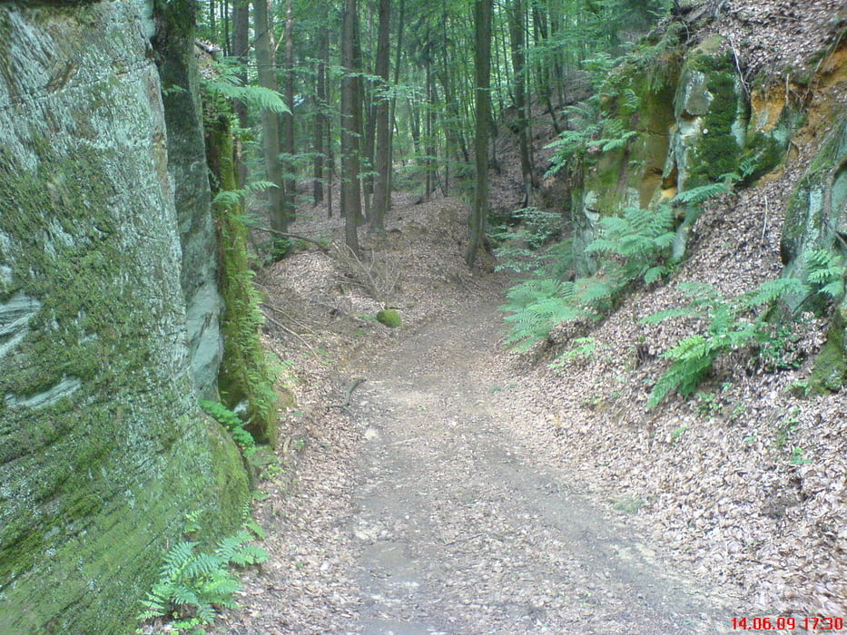 Panoramaweg um Schwandorf