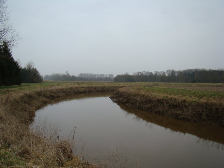 Langdorps Demergebied