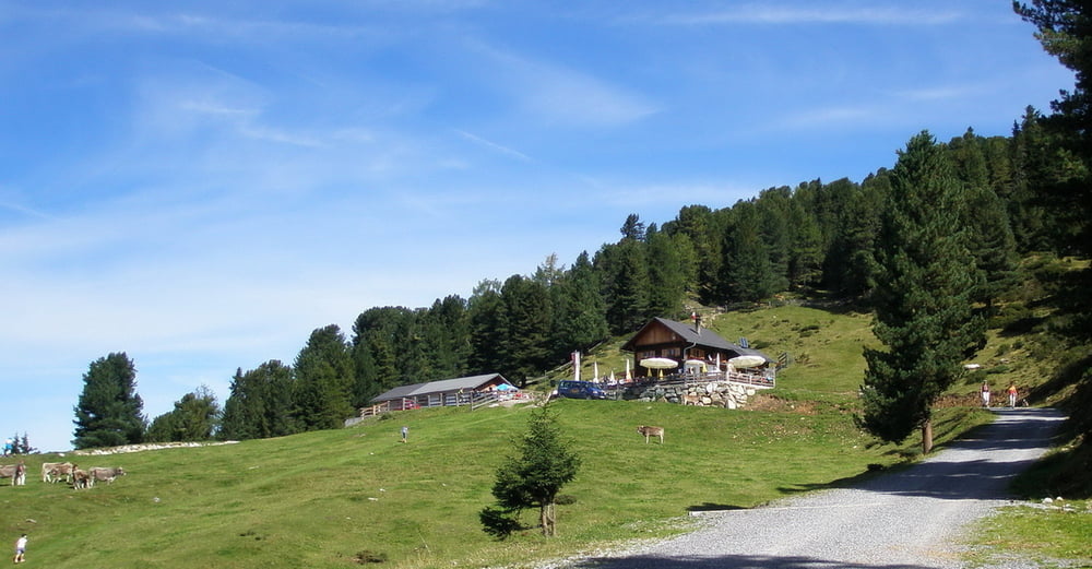 Feldringalm