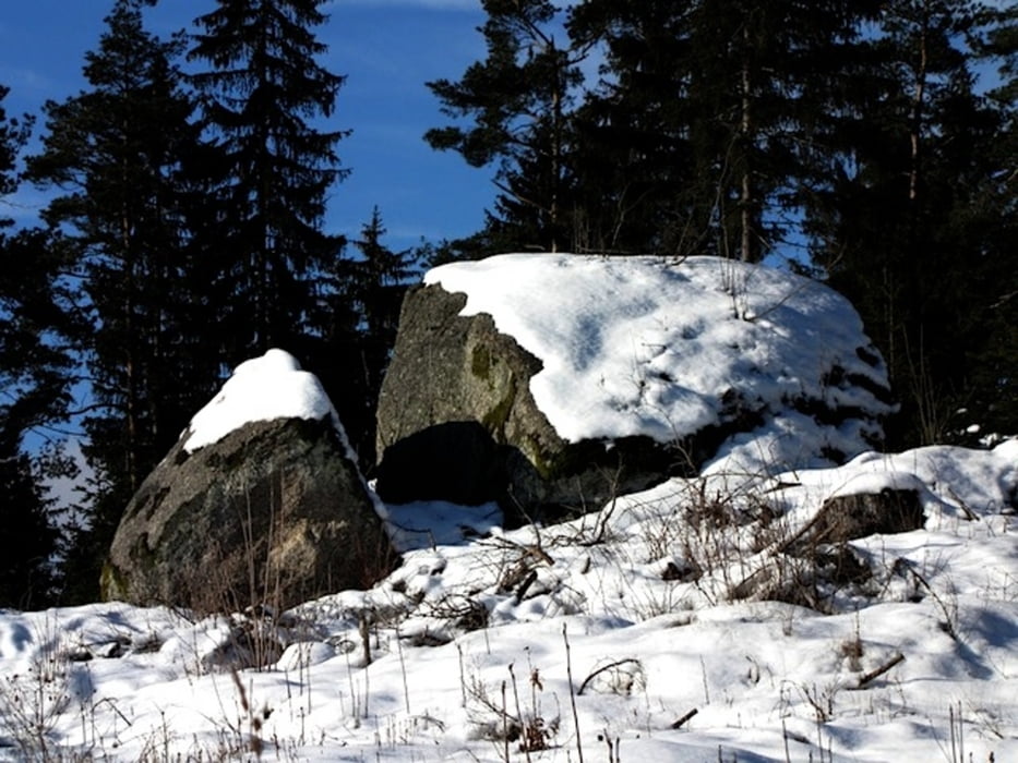 ZWalk – Kleinnondorf – Winterwandern im Jänner