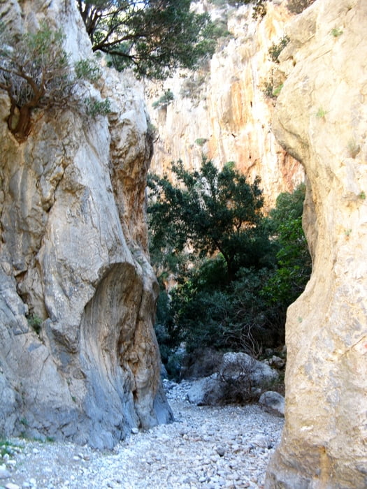 Rundweg durch die Kritsá- Schlucht