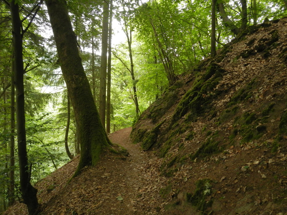 Trailspaß zwischen Idar und Wildenburg