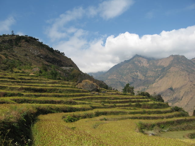 Dhaulagiri-Umrundung-Dharapani-Muri