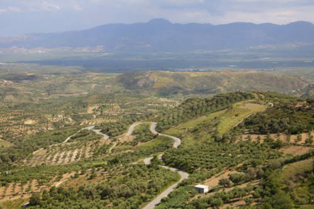 Kreta-RR-Tour 9: Messará-Ebene