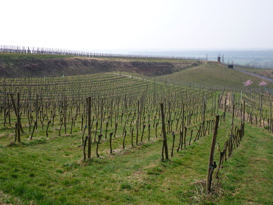 Von Zwingenberg auf den Melibokus