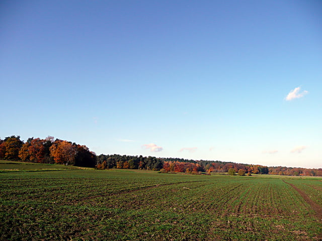 Haard - Hohe Mark