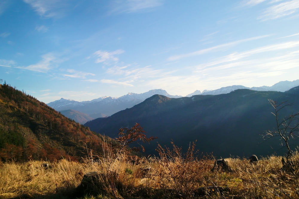 Kuhberg - Kleinreifling