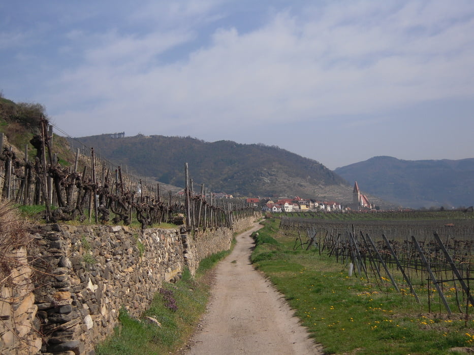 Weindonauweg
