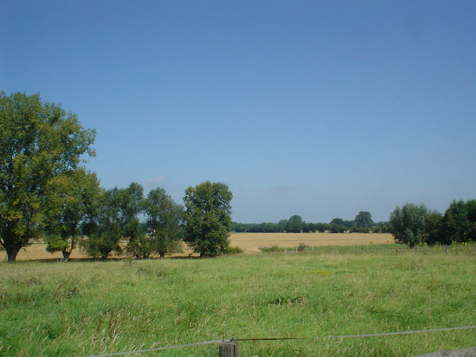 Thüler Moor